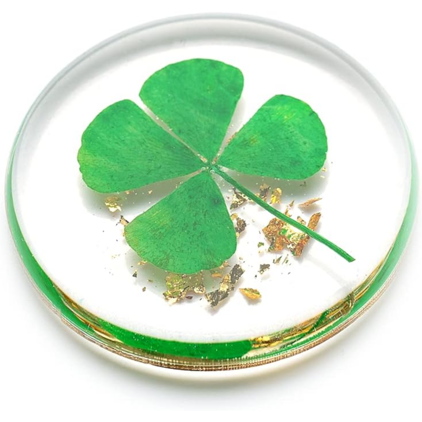 Real Four Leaf Clover, Authentic 4 Leaf Clover Good Luck Charm 1.25”, Ideal for Gifts, Lucky Charm Clover For Family (Including Gold Leaf)