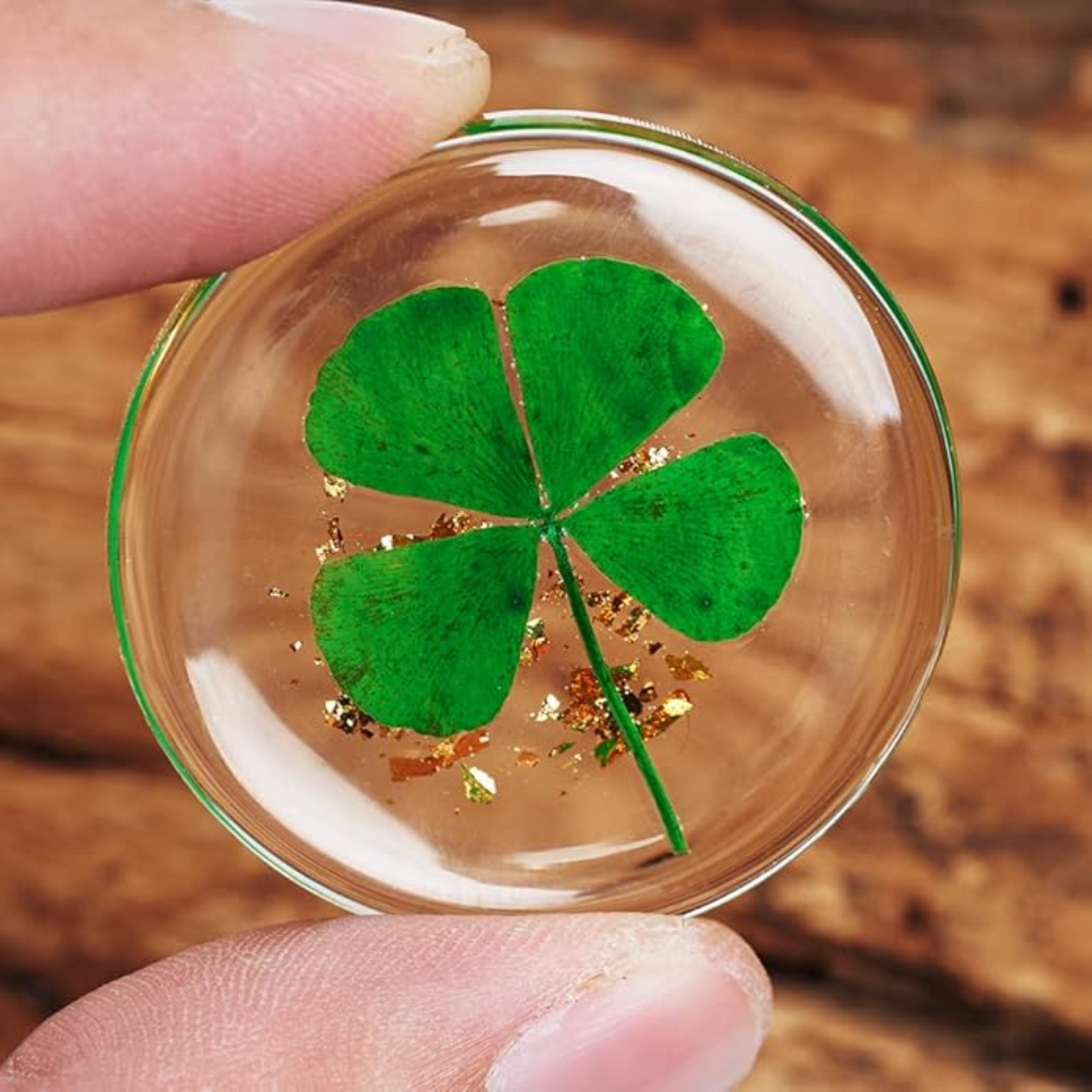 Real Four Leaf Clover, Authentic 4 Leaf Clover Good Luck Charm 1.25”, Ideal for Gifts, Lucky Charm Clover For Family (Including Gold Leaf)