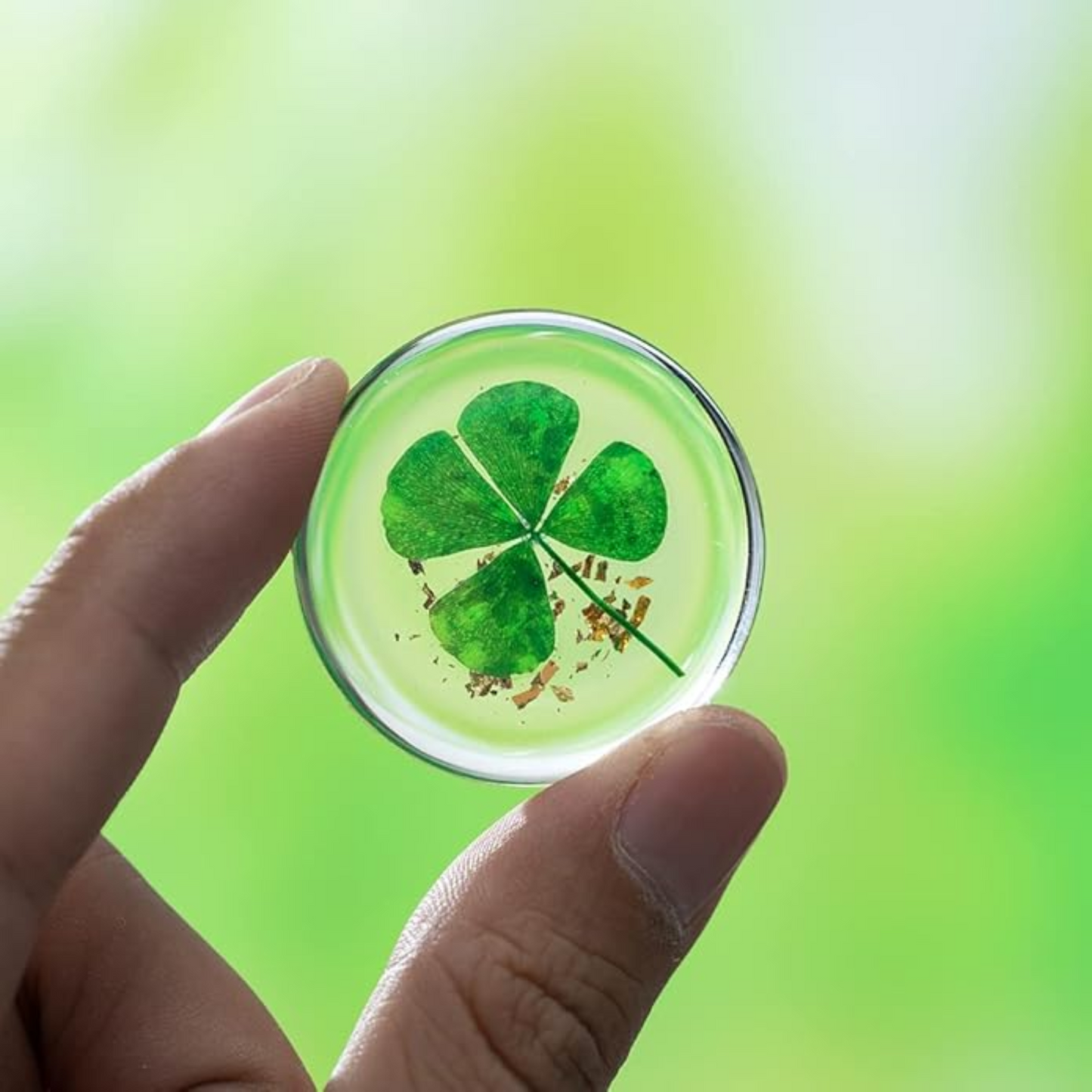 Real Four Leaf Clover, Authentic 4 Leaf Clover Good Luck Charm 1.25”, Ideal for Gifts, Lucky Charm Clover For Family (Including Gold Leaf)