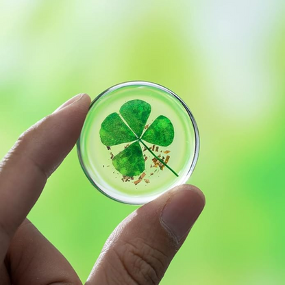 Real Four Leaf Clover, Authentic 4 Leaf Clover Good Luck Charm 1.25”, Ideal for Gifts, Lucky Charm Clover For Family (Including Gold Leaf)